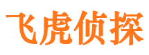 仁布市调查取证